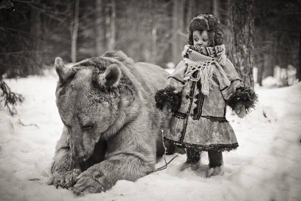Василий Краснов