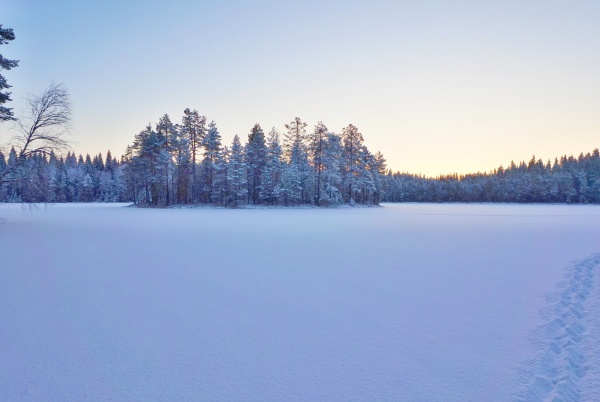Константин Божко