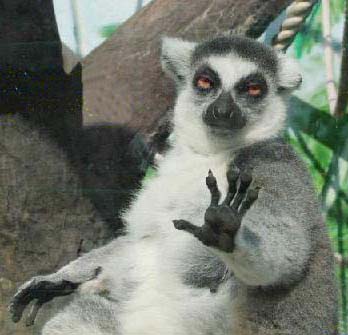 Юрий Пономарёв