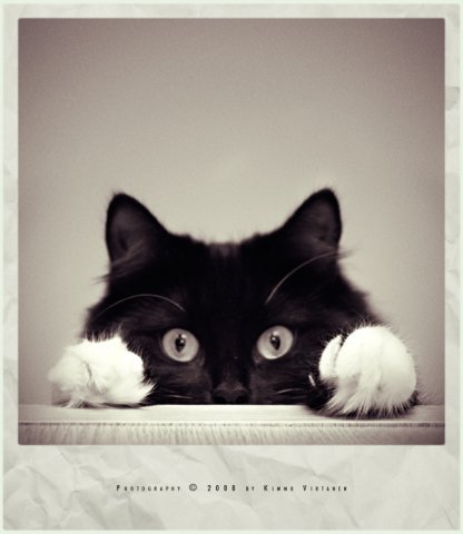 Светлана Юрьевна