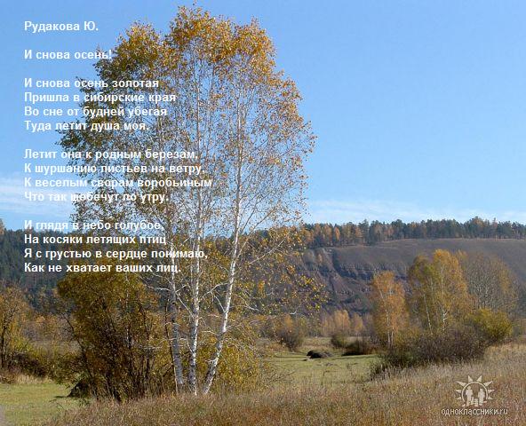 Стихи а.а.фета стих берёза Стихи а.а.фета стих берёза