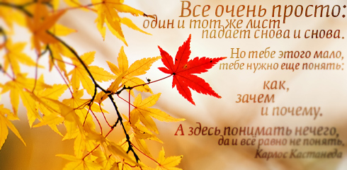 Очень кленовый лист