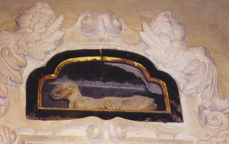 Кошка Петрарки