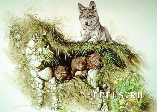 Василиса и Серый Волк. Сказки кота Баюна (Сказки