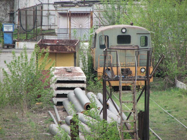 Кактус