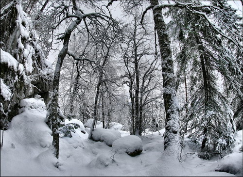 http://www.proza.ru/pics/2009/02/05/410.jpg
