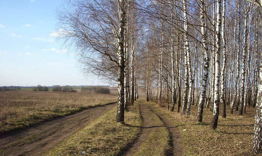 Объяснение слова Весна