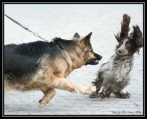 http://www.proza.ru/pics/2009/03/23/681.jpg