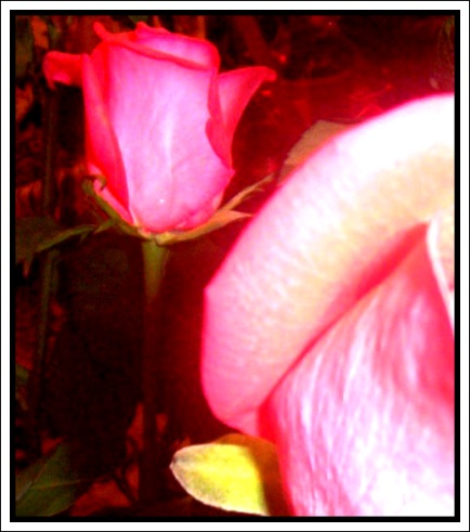 ����� �� �����