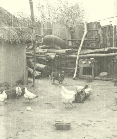 Дедов кулеш