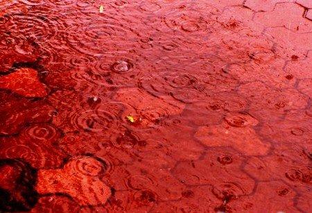 Нимб, рассказ о страшном сне