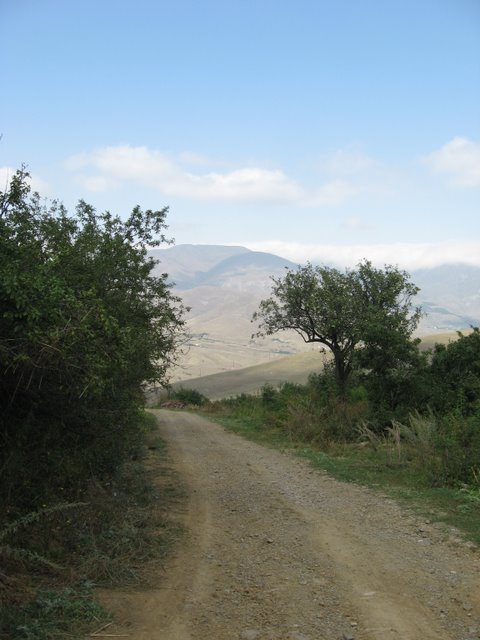 В глуши