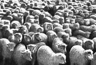 Публицистика в миниатюрах. Лишние триллионы