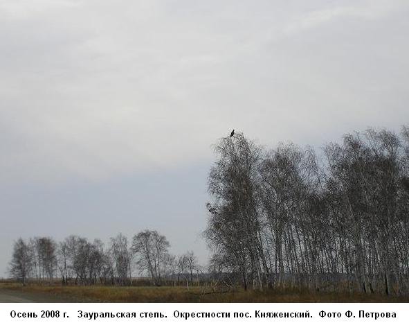 Лисья земля
