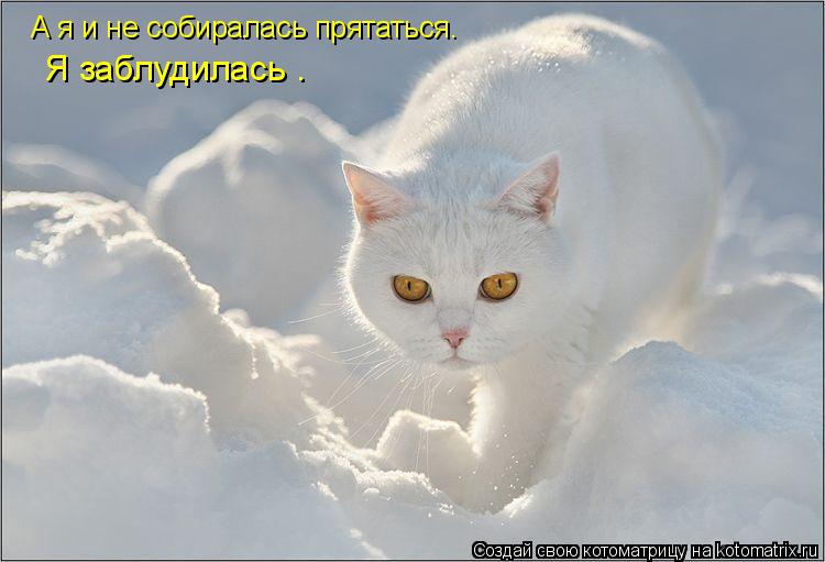 Чума на лыжах