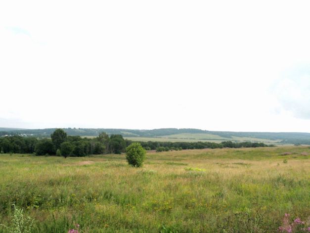 ЦКАД. Открытое письмо губернатору Б. В. Громову