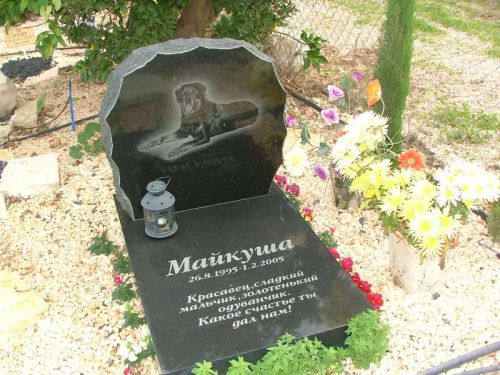 Студент наш не дурак и лишних сантиментов лишен.