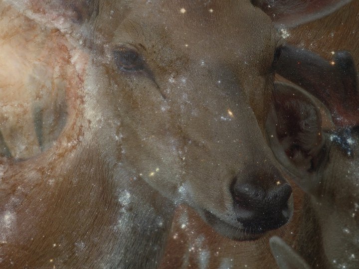 ���������� �������