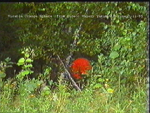 Blog Archives - chargetracker