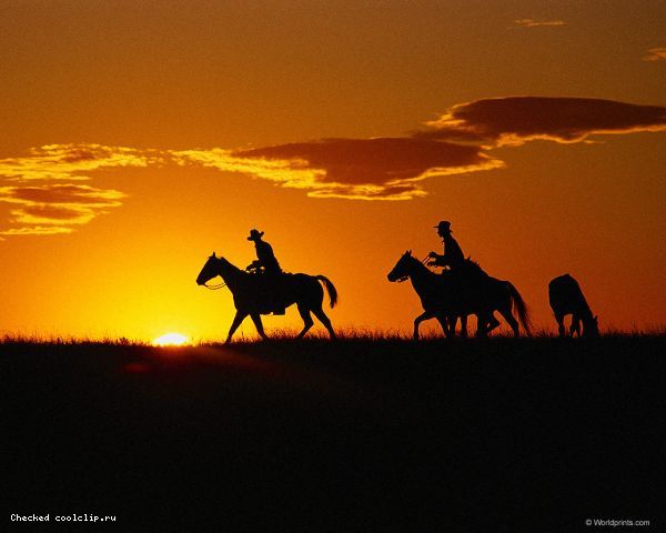 american cowboy essay american cowboy essay