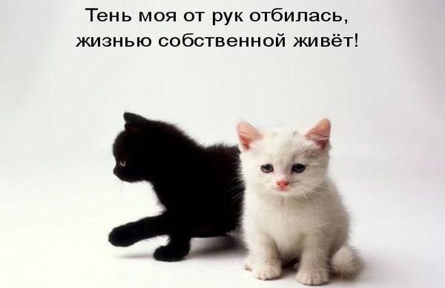 Блок А. А. - Твое лицо мне так знакомо 95-летие отечественного джаза. Часть II