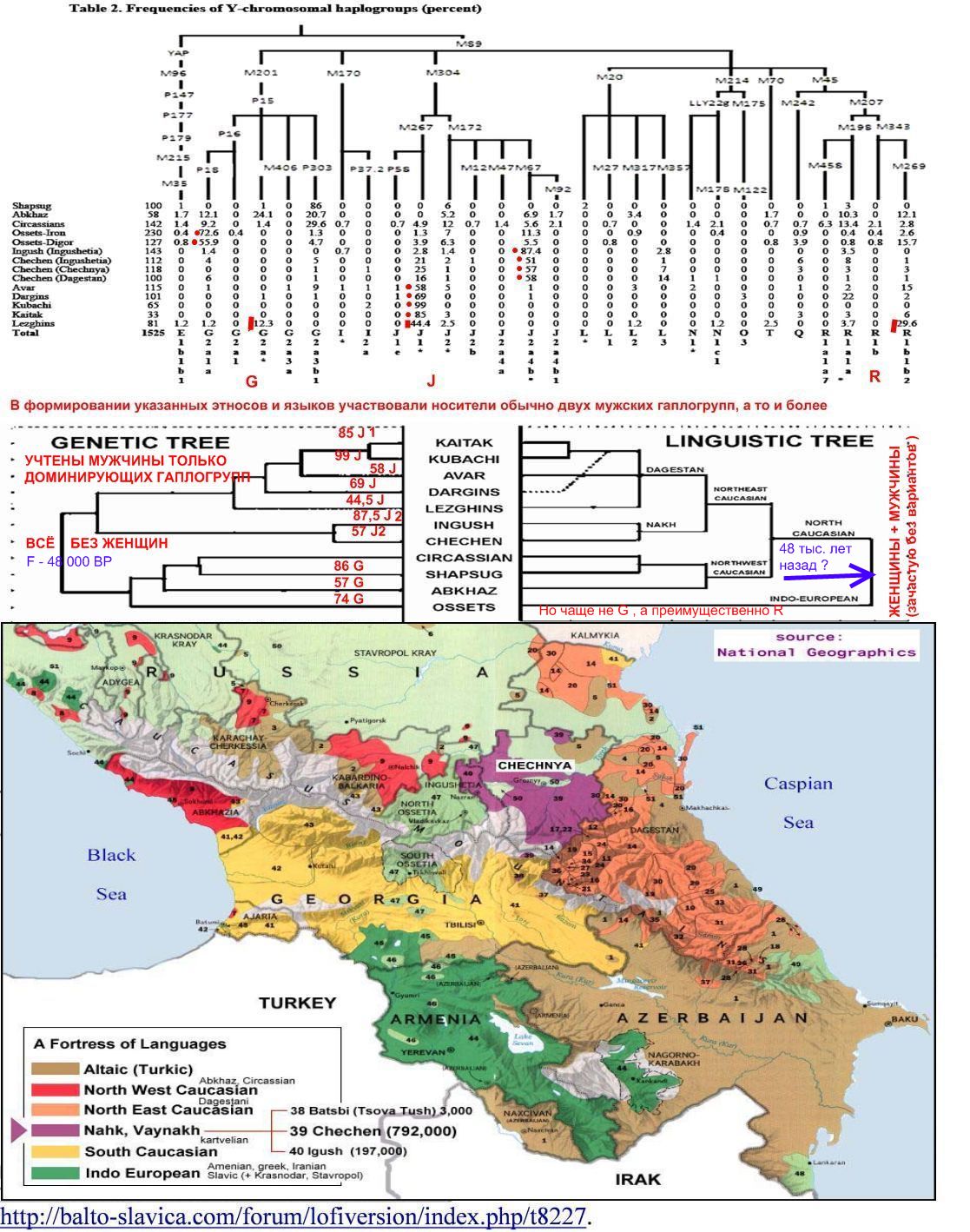 Гаплогруппы и языки вплоть до голоцена