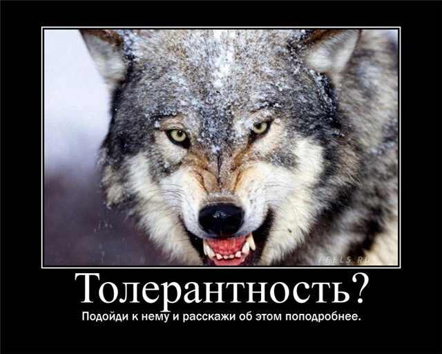 Верь в толерантность!