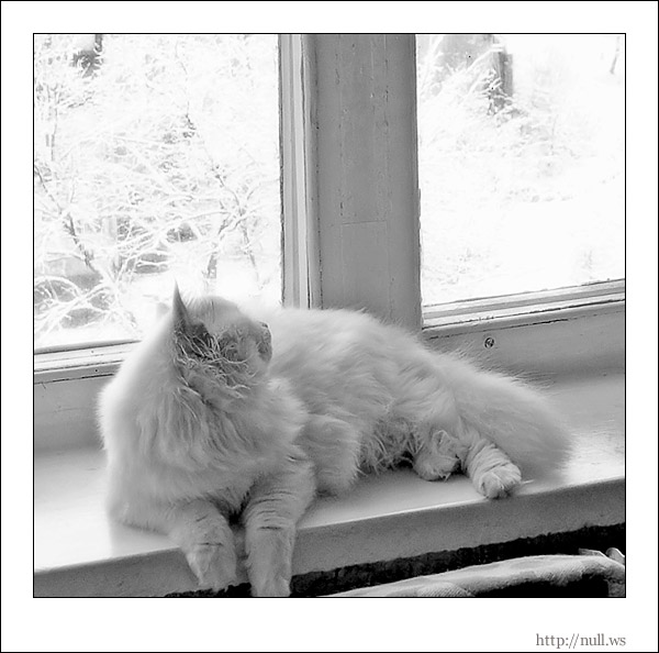 Белым по белому.