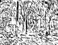 A18