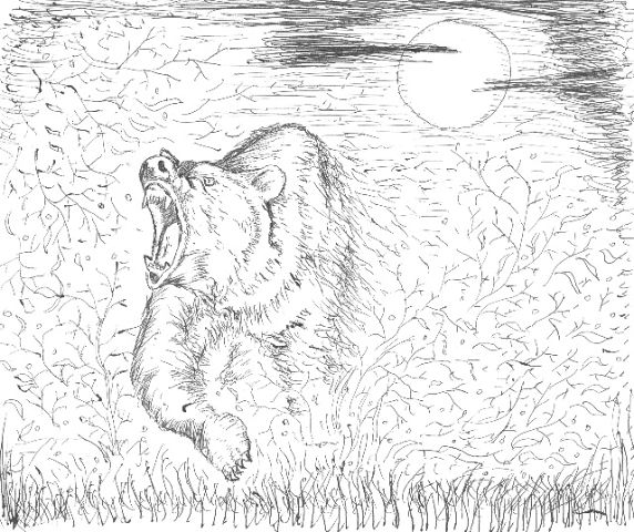 Женская футболка «Noize MC» (белый). Купить за 520 рублей