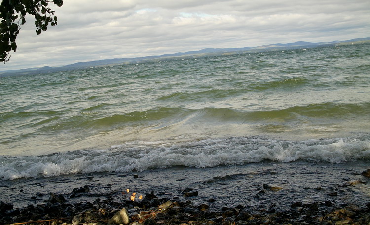 Увильды -2010