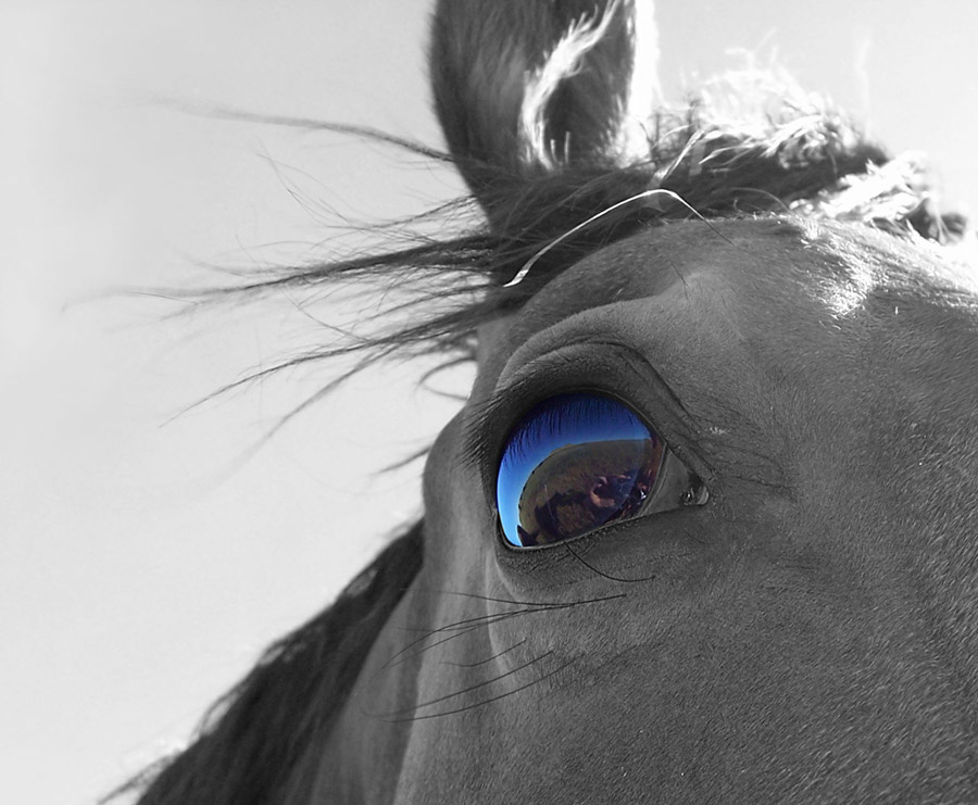 Жеребец-насильник (Руслан Белов) / Проза.ру