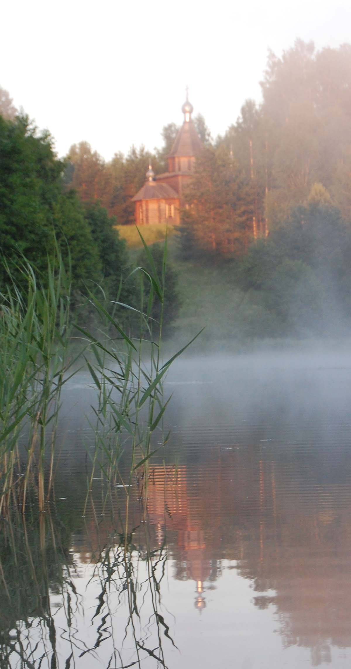 название название