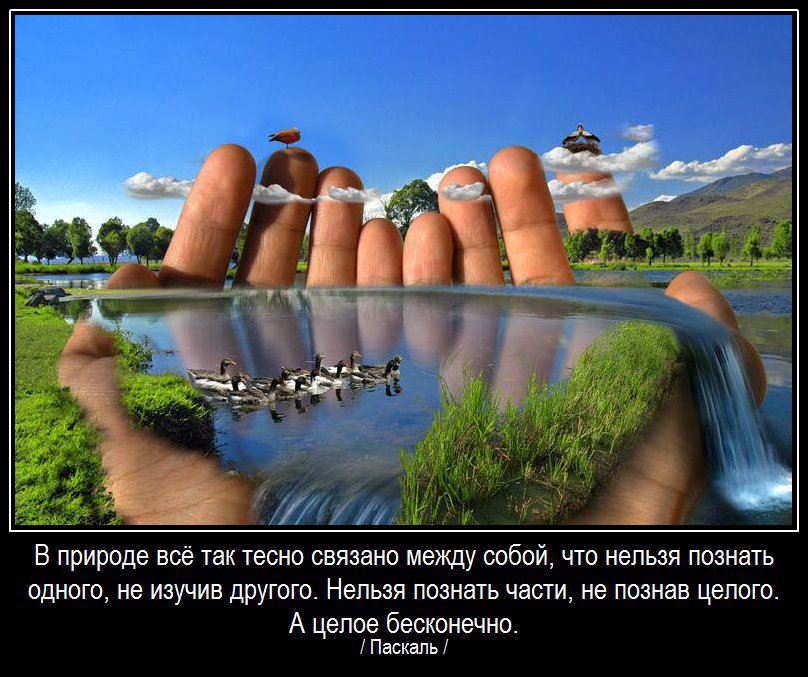 Как наша жизнь связана с природой Как наша жизнь связана с природой