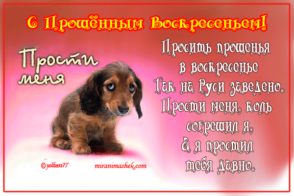 Смс поздравление прощённое воскресенье Смс поздравление прощённое воскресенье