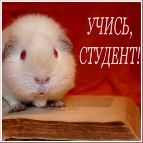Поздравления дочери с поступлением в институт 7