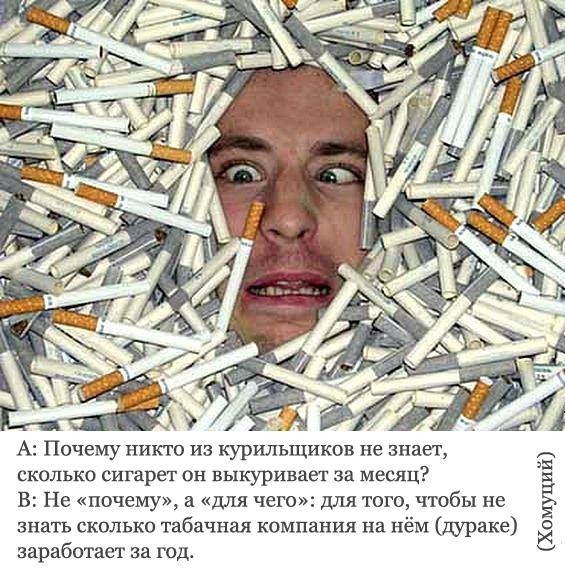 как самому снизить холестерин как самому снизить холестерин