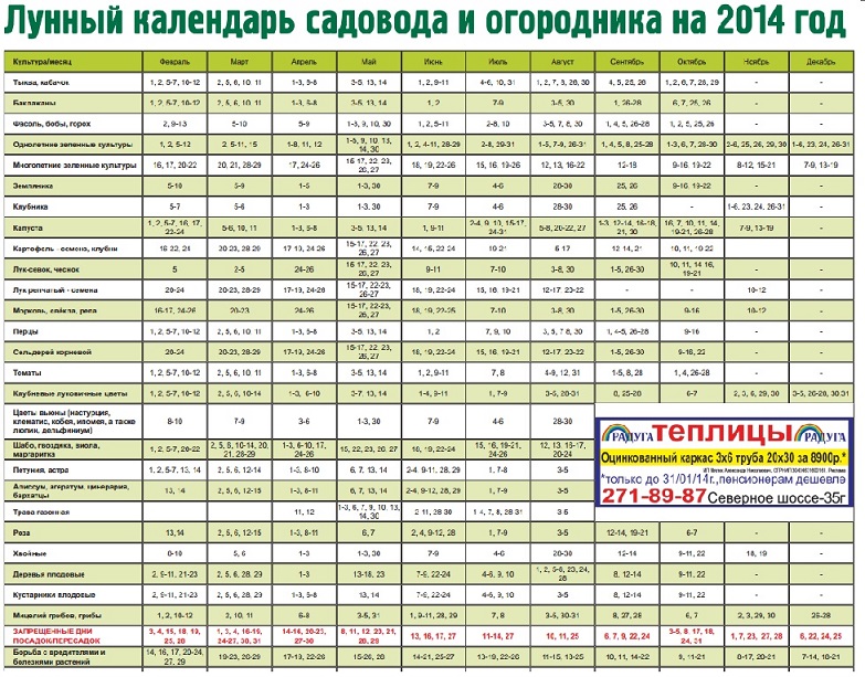 Кафе в ростове для детского праздника