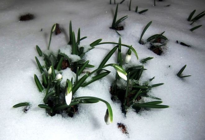 http://www.proza.ru/pics/2014/02/28/1303.jpg