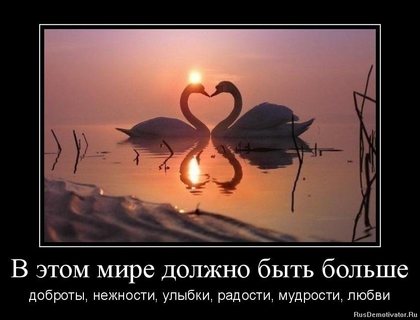 Статусы о нежности к нему Статусы о нежности к нему
