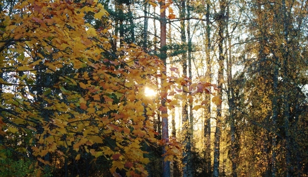 название название