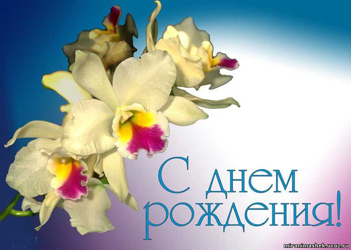 Поздравление с днем рождения женщине сметчице6 Поздравление с днем рождения женщине сметчице6