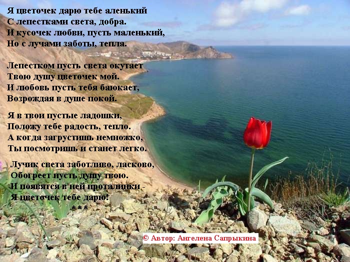 Стихи к подарку Букет цветов, Розы, Лилии, Герберы, Гвоздики, Хризантемы Я подарю тебе цветы. (Валерий Нуартье) / Стихи. ру