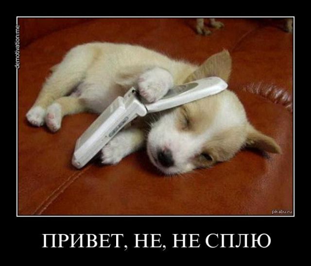 ПРИЗНАКИ БЕРЕМЕННОСТИ НА 1 НЕДЕЛЕ Ранние симптомы в первые На какой день после зачатия можно определить беременность?