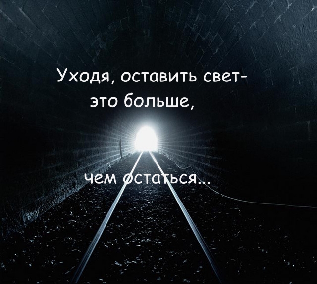 предварительный уйти из жизни красиво ежевику корневыми черенками