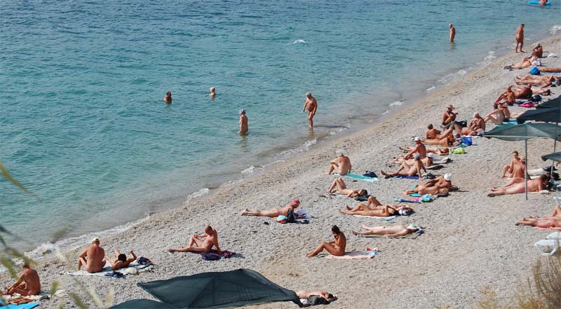 название название