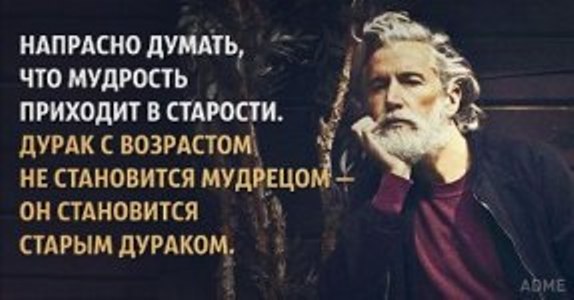 Все мы дураки афоризмы Все мы дураки афоризмы