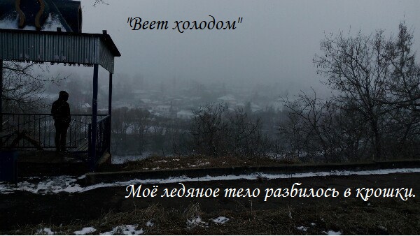 Стих ты веешь холодом Стих ты веешь холодом