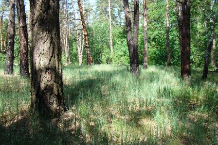 название название