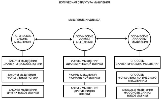 Вербально-логическая схема это Вербально-логическая схема это